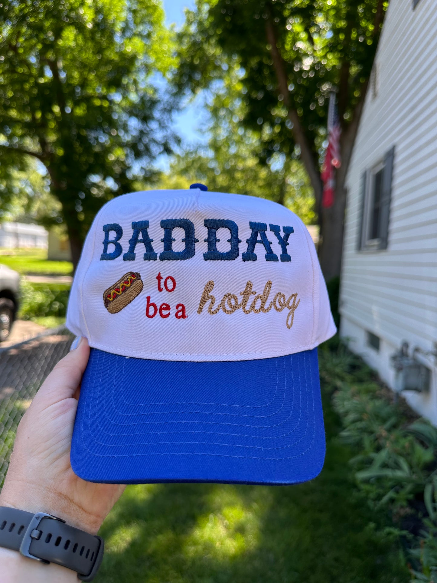 Bad Day to be a Hot dog Hat